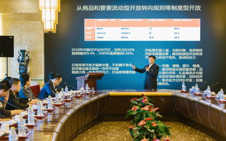 中国国际经济交流中心首席研究员张燕生