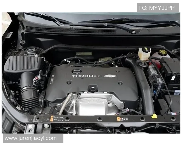 布雷达与维迪斯激战正酣谁能在这场对决中笑到最后 布雷达与维迪斯激战正酣谁能在这场对决中笑到最后