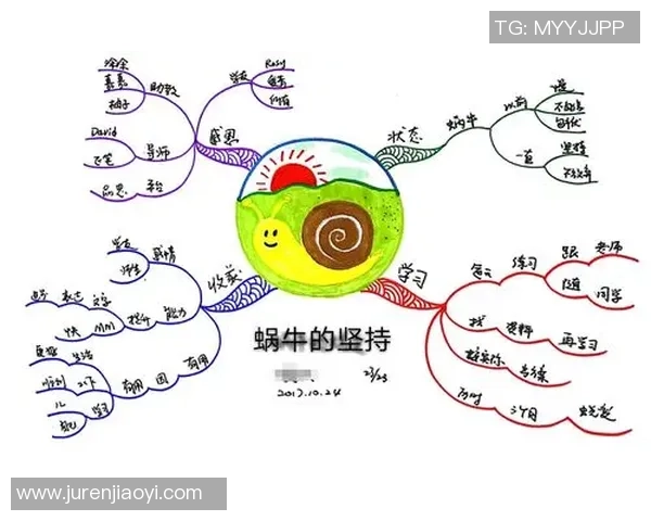张宁的奋斗历程与人生哲学：从平凡到卓越的心路历程与启示